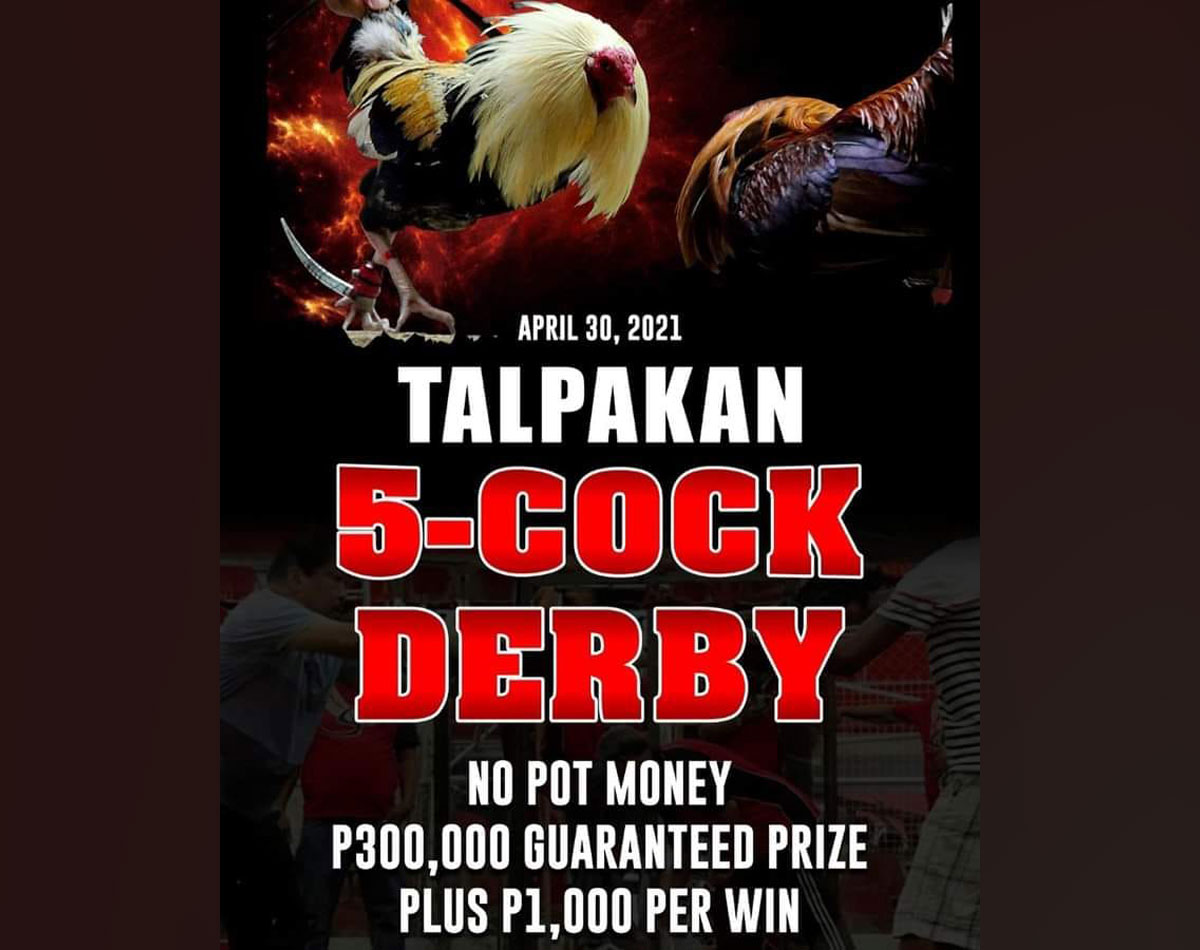 Online Sabong Derby Rules Postcard