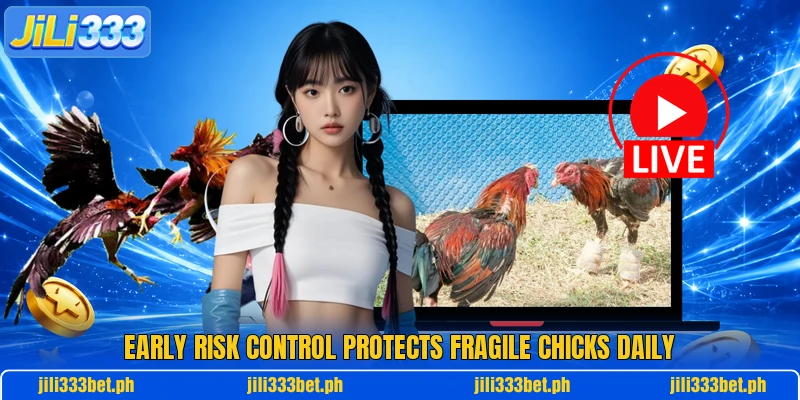 Early risk control protects fragile chicks daily Early risk control protects fragile chicks daily