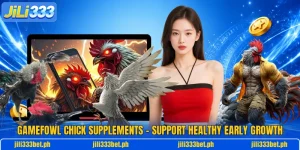 Gamefowl Chick Supplements – Support Healthy Early Growth