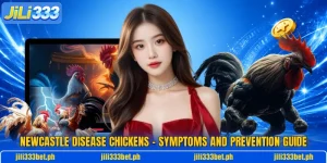 Newcastle Disease Chickens – Symptoms And Prevention Guide