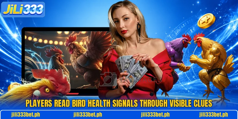 Players read bird health signals through visible clues Players read bird health signals through visible clues