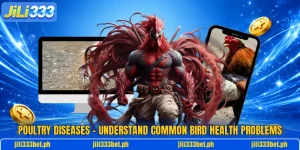 Poultry Diseases – Understand Common Bird Health Problems