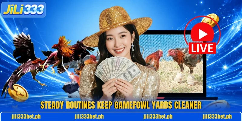 Steady routines keep gamefowl yards cleaner Steady routines keep gamefowl yards cleaner